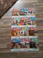 DVD-Collection Bud Spencer Terence Hill Magazine 1-12 DeAGOSTINI Niedersachsen - Braunschweig Vorschau