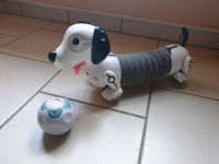 Robodog, Roboterhund Hessen - Allendorf Vorschau