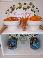 Candy Bar verleihen Sachsen - Penig Vorschau