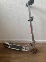 Hundora Roller Big Wheel Silber Kreis Pinneberg - Kölln-Reisiek Vorschau