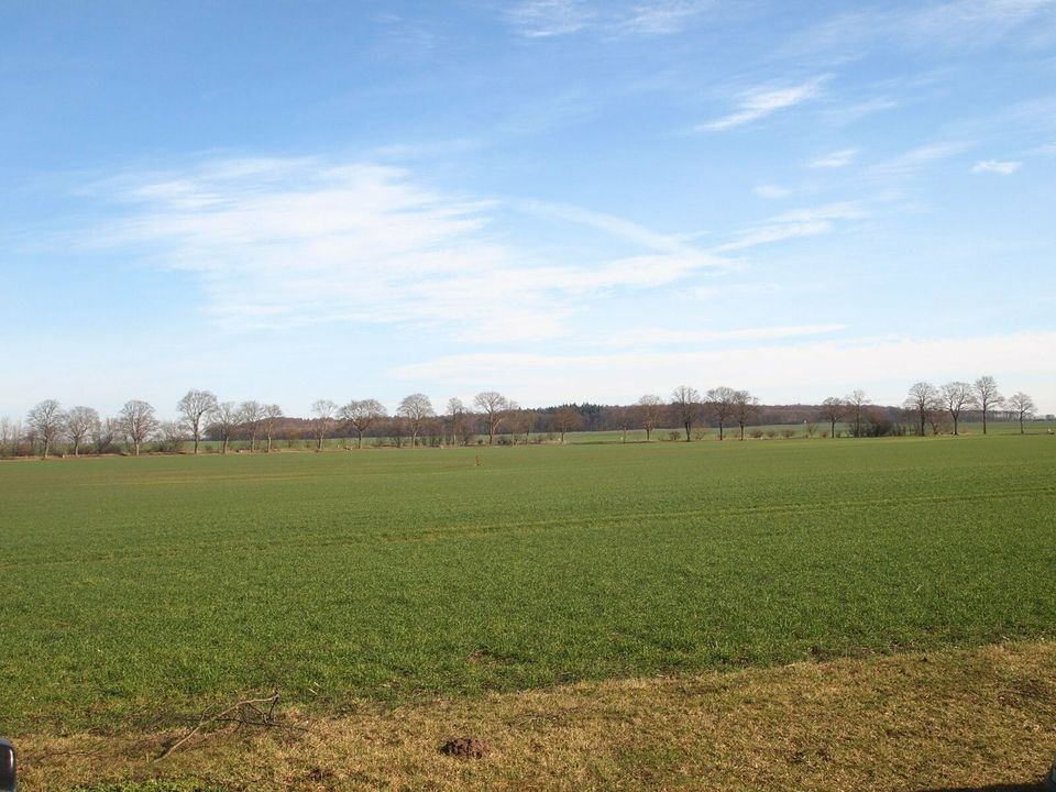 Ferienhaus in ländlicher Lage in Mecklenburg Vorpommern in Dargun