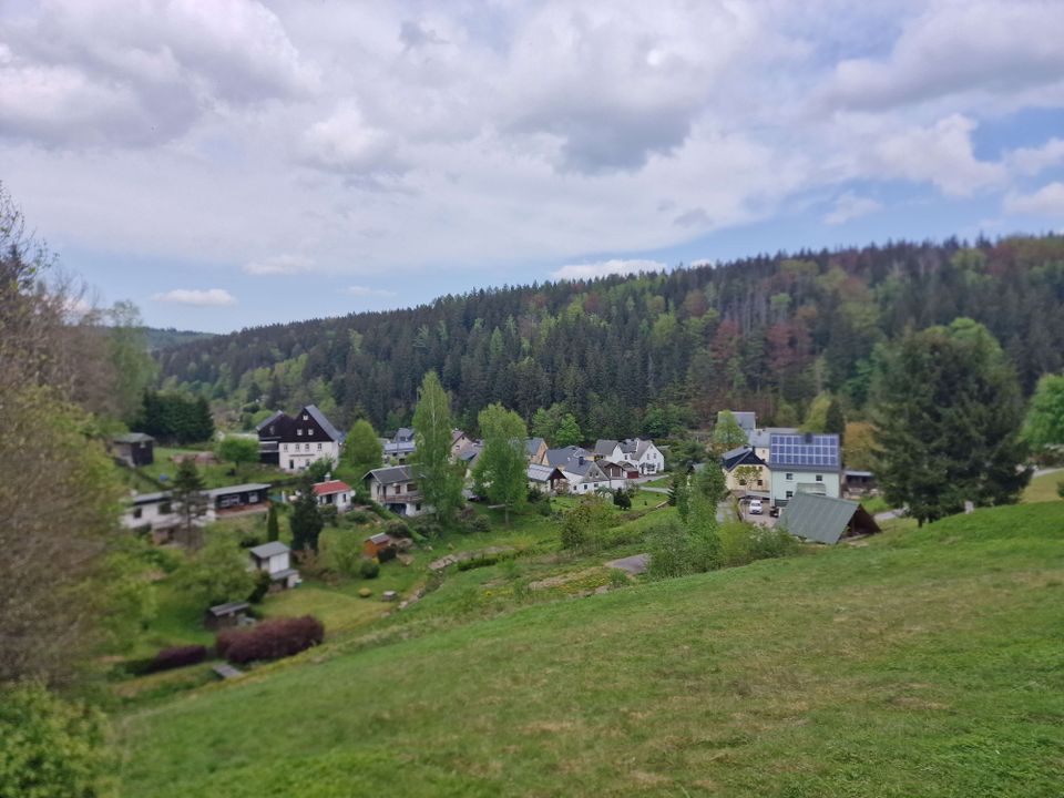 Als Eigenheim oder Ferienhaus -  Entspannung pur am Waldrand in toller Lage von Pobershau! in Marienberg