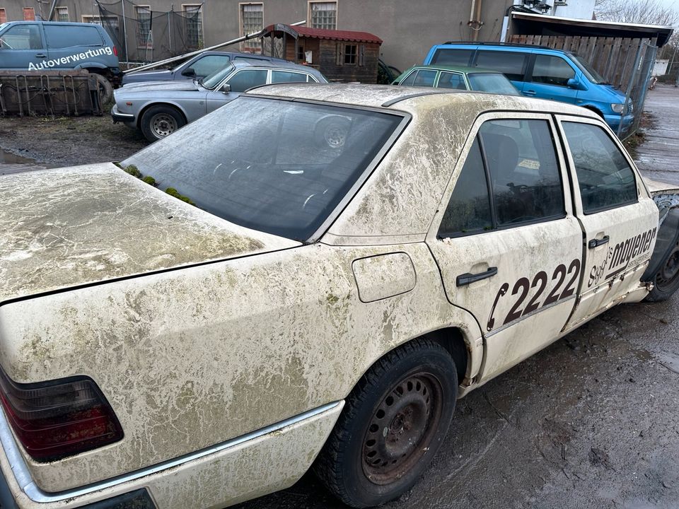 Mercedes w124 Schlachtfest in Klostermansfeld