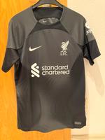 Nike Liverpool Torwart Trikot - Größe S Baden-Württemberg - Kirchheim unter Teck Vorschau