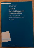 Lehrbuch der heilpädagogischen Übungsbehandlung Thüringen - Heilbad Heiligenstadt Vorschau