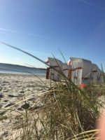 DAS MÖWENNEST in HOLNIS. Ferienhaus Ostsee Strand Schleswig-Holstein - Glücksburg Vorschau