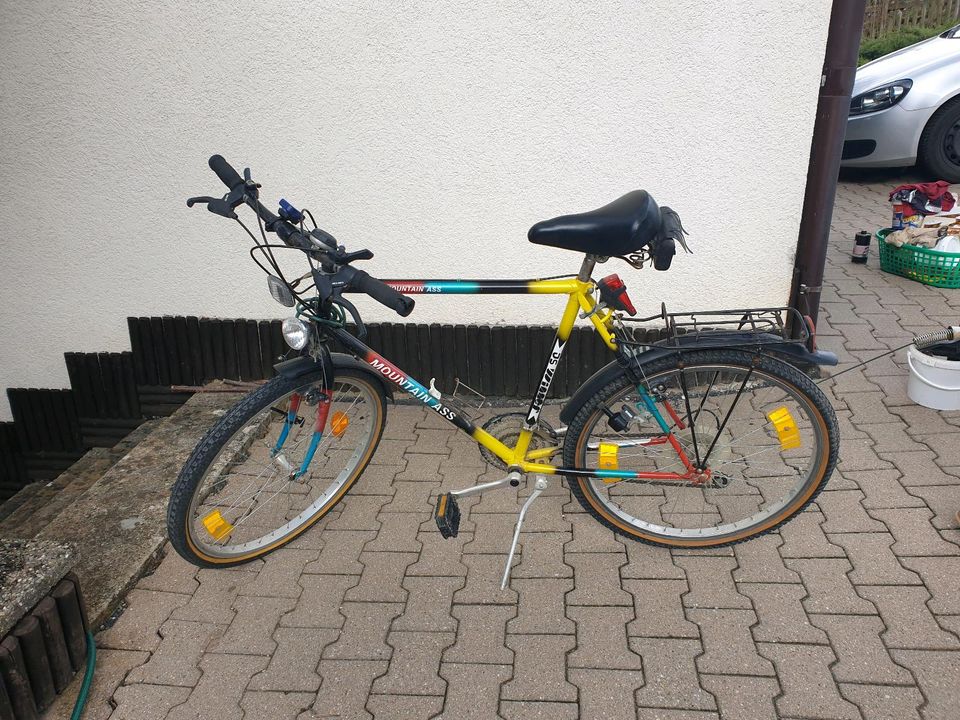 Mountainbike von Leechi in Sigmaringen