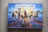 Pferde Motiv Puzzle Pferd Lavendel 1000 Teile 70 x 50 cm Patrik Nordrhein-Westfalen - Königswinter Vorschau