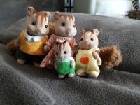 Sullivan's Eichhörnchen Familie,Puppen,spielen Kinder Dortmund - Brackel Vorschau