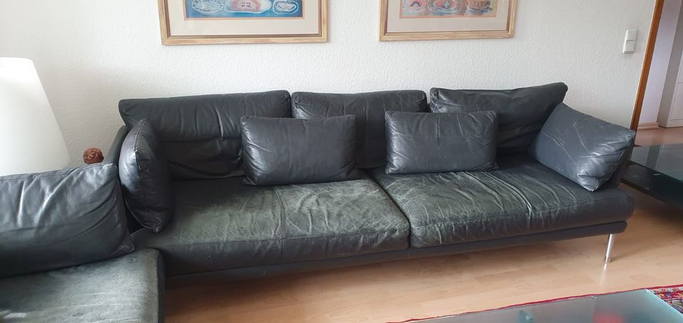 Zwei Rolf Benz Ledersofa ° Verkauf auch einzeln in Bochum