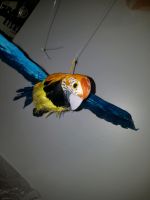 Papageien Papageien Figuren echte Federn blau 65cm Deko Nordrhein-Westfalen - Gelsenkirchen Vorschau
