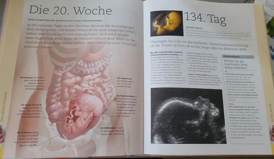 Buch über die Schwangerschaft in Müllheim