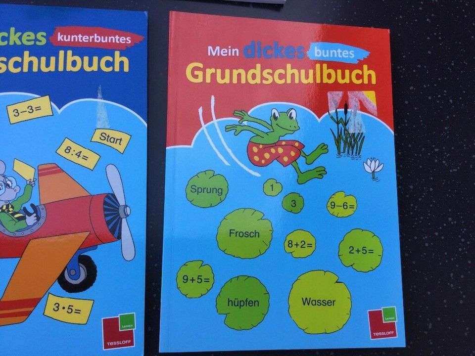 Grundschulbuch (3 Stück) von Tessloff und Schwager&Steinlein in Großostheim