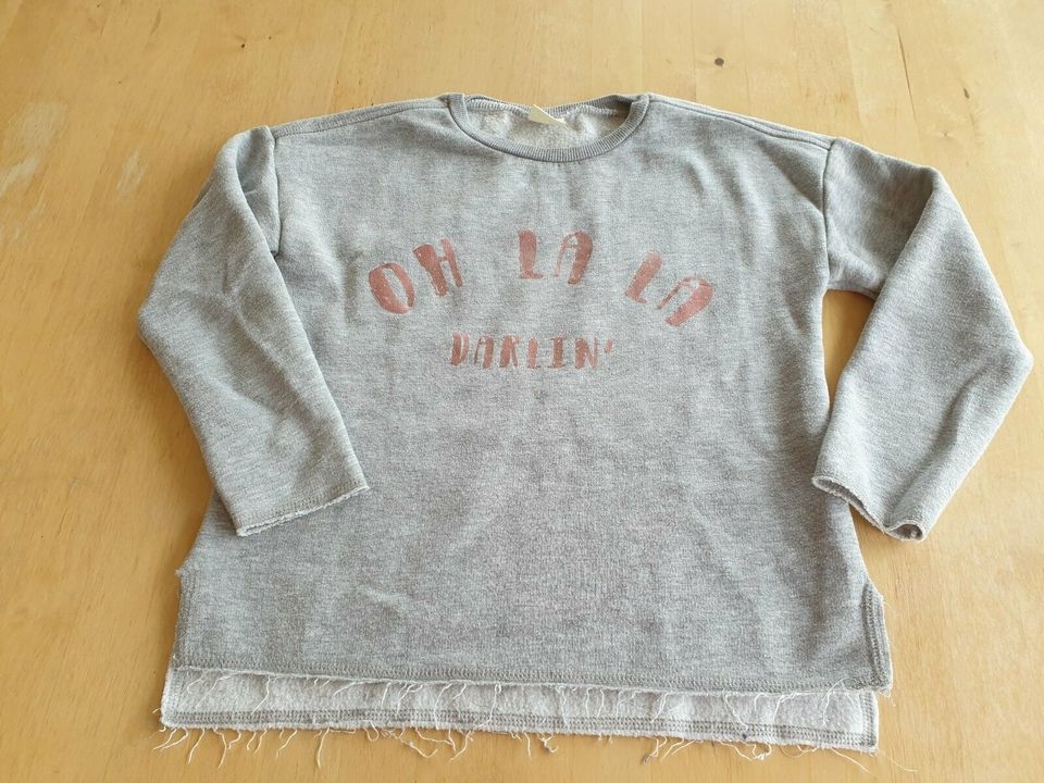 Kinder Mädchen Langarm-Sweatshirt - Marke Zara - Größe 140 in Höchstädt i. Fichtelgebirge