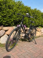 Gudereit Fahrrad Trecking Citybike Bike SX 45 Sportline Herzogtum Lauenburg - Geesthacht Vorschau