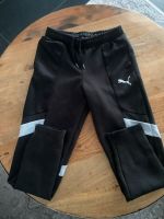 Orginal Puma Jogging Hose 152 Rheinland-Pfalz - Lingenfeld Vorschau