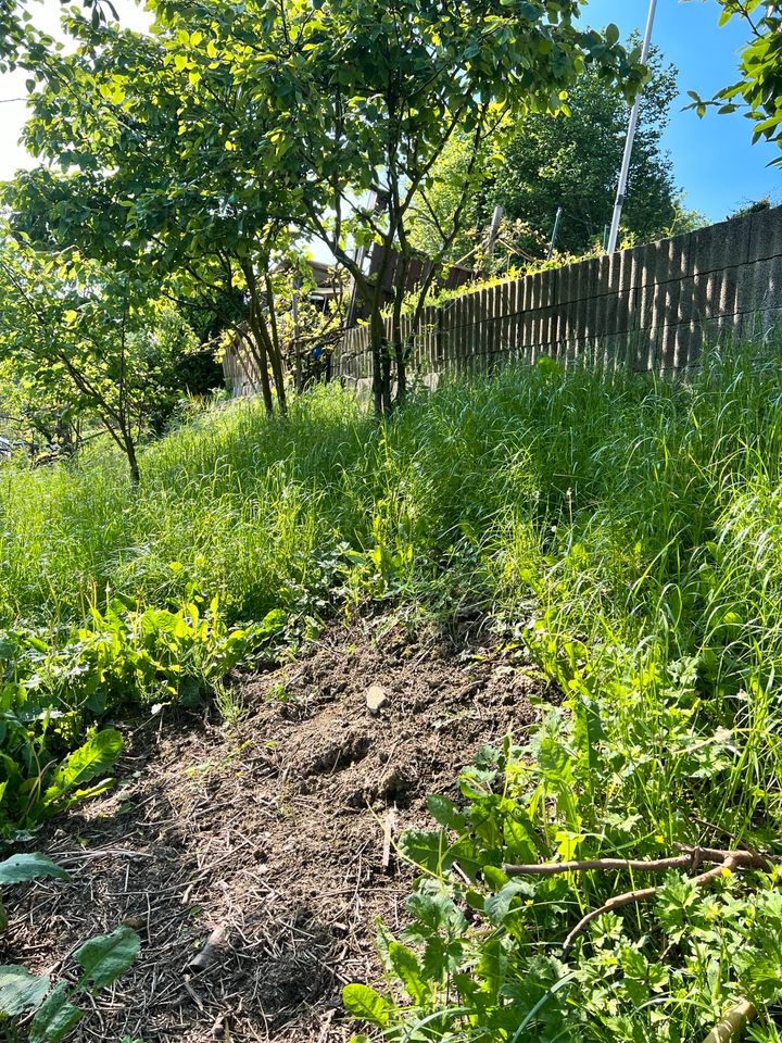 Streber Garten in Essen