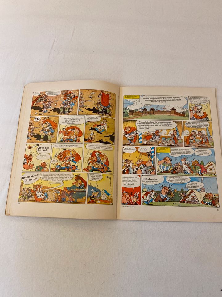 Der Kampf der Häuptlinge Asterix Comic in Arnsberg