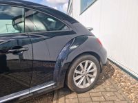 Seitenteil hinten links Fahrerseite Blechteil VW Beetle Coupe 5C Nordrhein-Westfalen - Fröndenberg (Ruhr) Vorschau