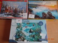 Puzzle 1000 Teile zu verkaufen Thüringen - Krayenberggemeinde Vorschau