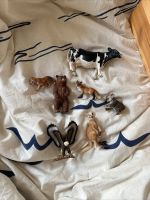 Schleich Tiere divers, Kängeruh, Koala, Adler, Bär Nordrhein-Westfalen - Mönchengladbach Vorschau