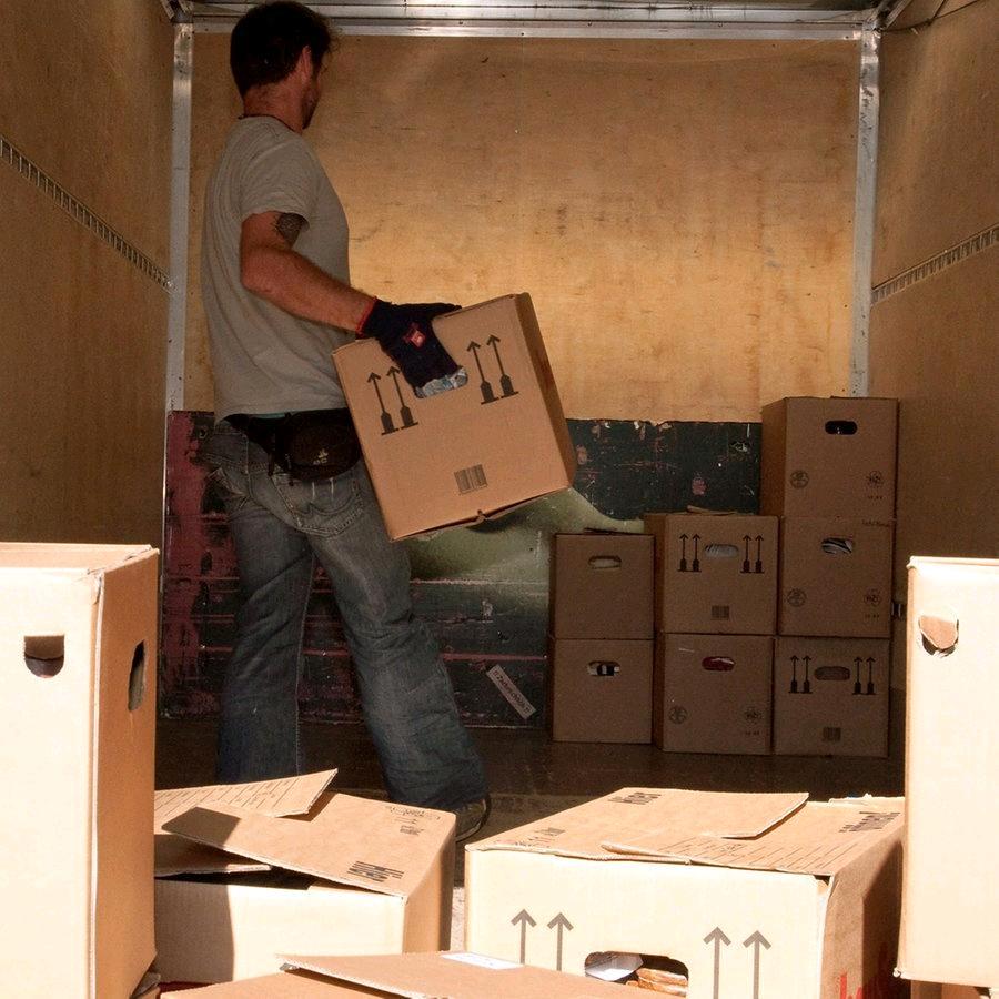 Umzugsservice Transport Umzugshelfer hausauflösung in Alzey
