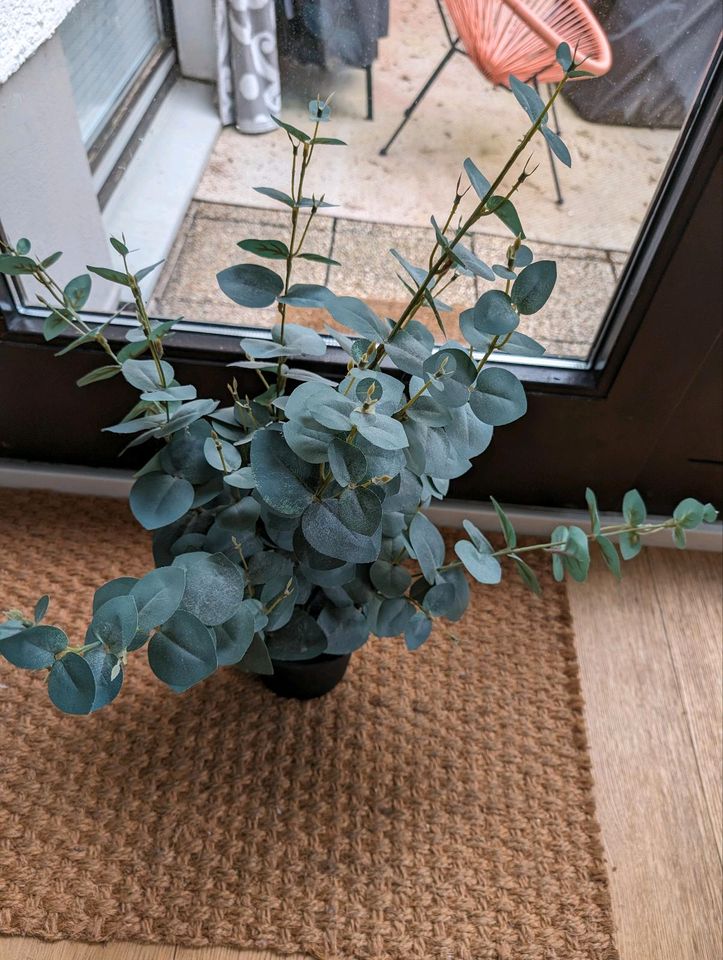 Eukalyptus künstlich von Ikea in Herdecke