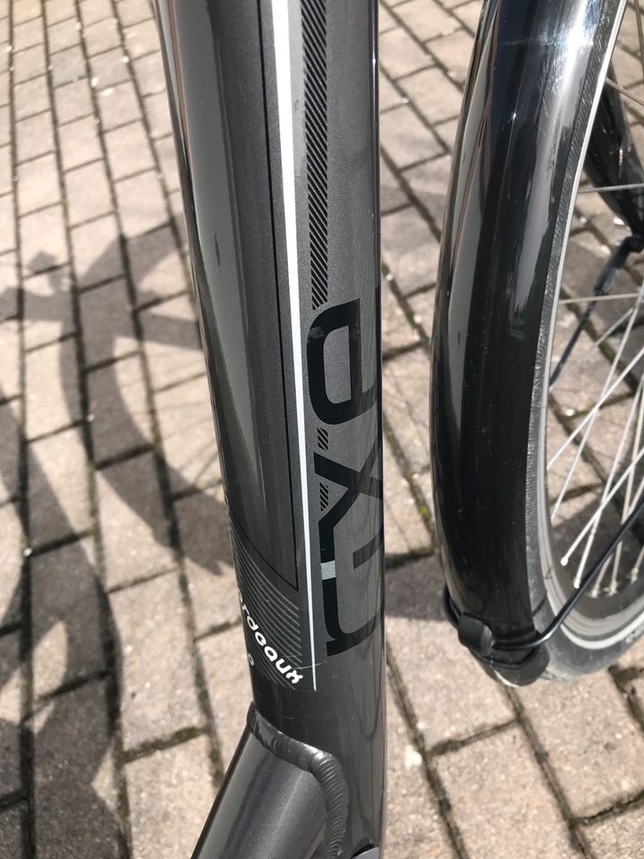 Ebike RIXE Bordeaux  XXL, mit Motor-Garantie in Hummeltal