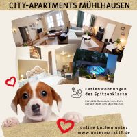 Einladend für alle: Hunde herzlich willkommen in unseren Apartmen Thüringen - Mühlhausen Vorschau