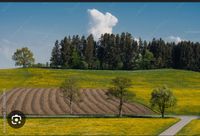 Acker,wiesen,wald Bayern - Hemhofen Vorschau