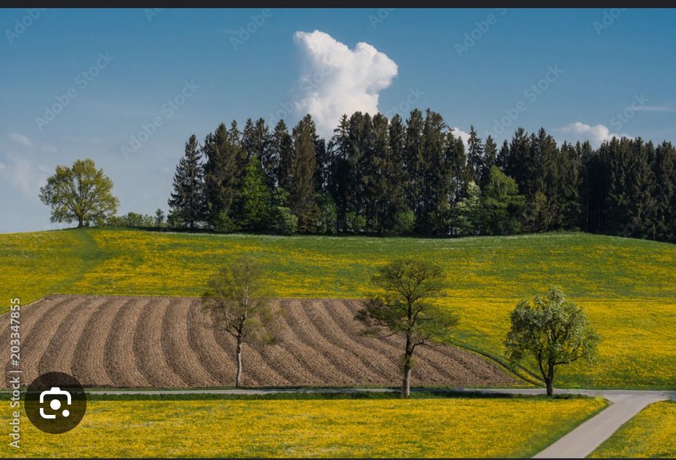 Acker,wiesen,wald in Hemhofen