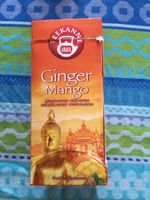 Teekanne Tee Typ Ginger Mango 12 OVP Teebeutel drinnen MDH 09/24 Bayern - Regensburg Vorschau