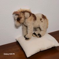 Steiff Vintage Pony Shetlandpony Sheddy 60er Mohair Wandsbek - Steilshoop Vorschau