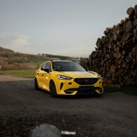 HG-MOTORSPORT CUPRA FORMENTOR OPF EGO-X EWG KLAPPENABGASANLAGE Nordrhein-Westfalen - Schmallenberg Vorschau