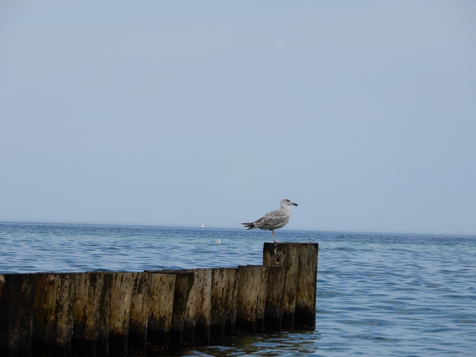 Ferienwohnung Ostsee Kühlungsborn 2 Zi. Balkon WLAN Tiefgarage in Kühlungsborn