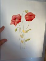 Aquarellbild Mohnblumen Bayern - Obertraubling Vorschau