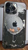 iPhone Backcover Reparatur 8/X/11/12/13/14/15 Pro Mini Plus Max Niedersachsen - Edewecht Vorschau