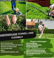Gartenpflege/ hecken schneiden/ Rasen mähen/ Garten Hilfe Thüringen - Erfurt Vorschau