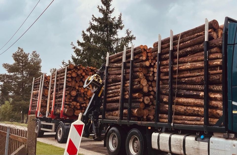 Brennholz Feuerholz Kaminholz Holz in Eisenberg