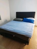 Boxspringbett 160x200 swiss sense Limited Edition Baden-Württemberg - Neuhausen ob Eck Vorschau