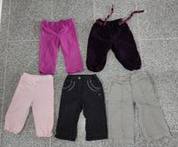 Hose Cordhose Haushose Leggings Jeans Gr 80 Niedersachsen - Salzgitter Vorschau