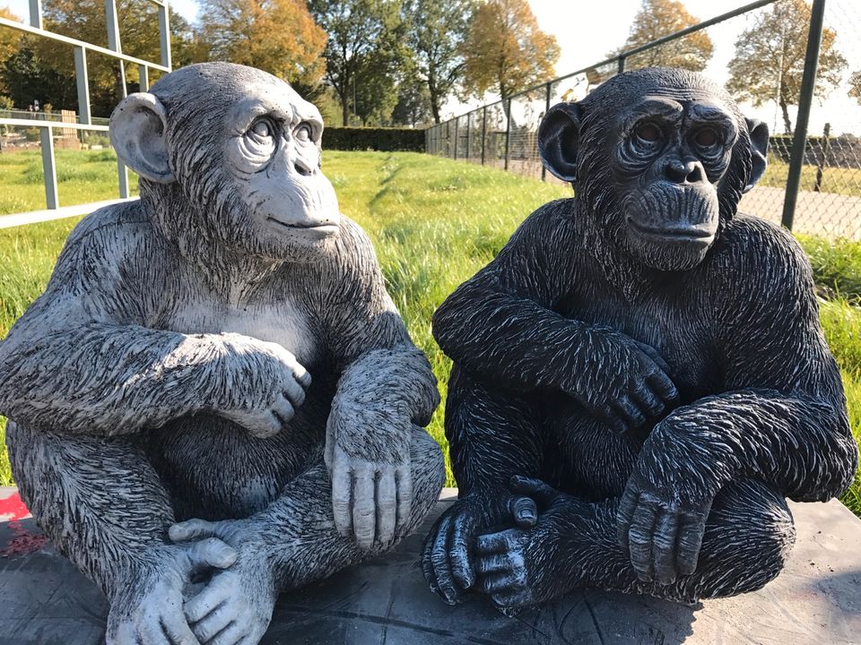 ‼️Schimpanse 52cm Chita Bonobo Steinguss Affe Affen Menschenaffe in Schönefeld