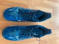 Mizuno Handballschuhe Sportschuhe Gr. 46,5 Hessen - Wöllstadt Vorschau