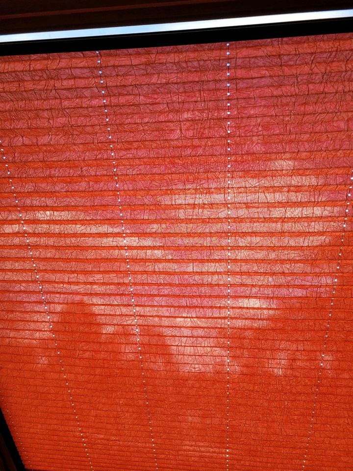 Plisee fürs Dachfenster von Erfal Rot/ Plissees in Ottendorf-Okrilla