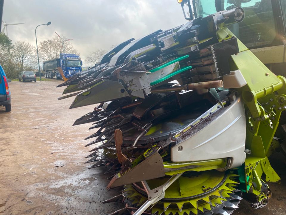 Claas orbis 750 Maisgebiss in Habscheid