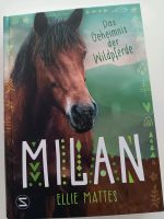 Milan Das Geheimnis der Wildpferde Schleswig-Holstein - Preetz Vorschau