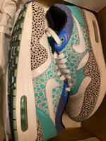 Nike air max 1 „ mint safari“  42,5 Sachsen-Anhalt - Naumburg (Saale) Vorschau