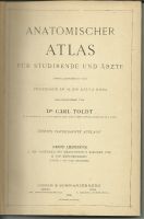 Toldt Anatomischer Atlas für Studierende und Ärzte.1900 Schleswig-Holstein - Kappeln Vorschau