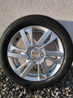 Toyota Aygo X Felge mit Sommerreifen 165/60/R15 Nordrhein-Westfalen - Blomberg Vorschau