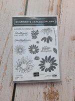 Stampin up Stempelset charmante Gänseblümchen Bayern - Landsberg (Lech) Vorschau